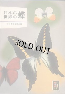 画像1: 日本の蝶 世界の蝶